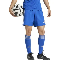 Tastigo 25 Herren Shorts