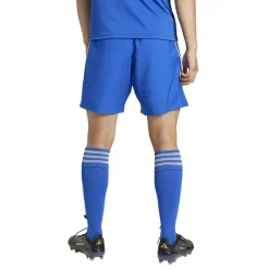 Tastigo 25 Herren Shorts