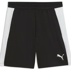 Teamfinal26 Training Herren Shorts