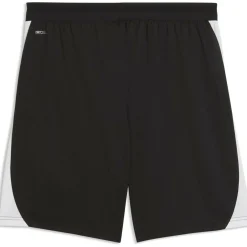 Teamfinal26 Training Herren Shorts