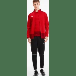 TeamGOAL 23 Training Herren Sweatshirt