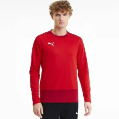 TeamGOAL 23 Training Sweat Herren Sweatshirt