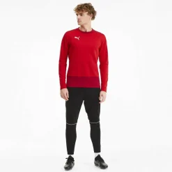TeamGOAL 23 Training Sweat Herren Sweatshirt