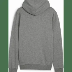 teamGOAL Casuals Hooded Herren Sweatshirt