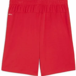 teamGOAL Herren Shorts