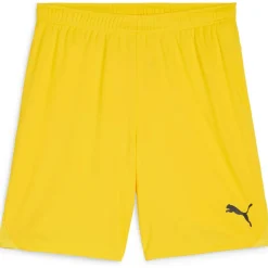 teamGOAL Herren Shorts