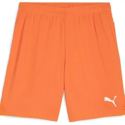 teamGOAL Herren Shorts