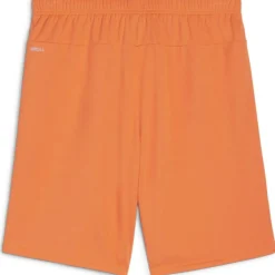 teamGOAL Herren Shorts