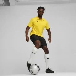 teamGOAL 2in1 Herren Shorts