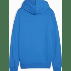 teamGOAL Casuals Hooded Herren Sweatshirt