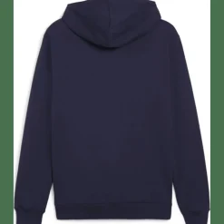 teamGOAL Casuals Hooded Herren Sweatshirt