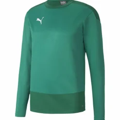 TeamGOAL 23 Training Sweat Herren Sweatshirt