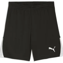 Teamliga26 Herren Shorts
