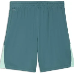 Teamliga26 Herren Shorts
