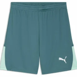 Teamliga26 Herren Shorts