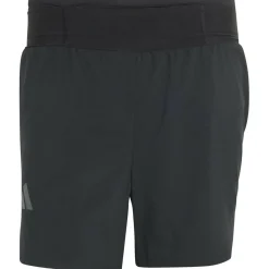 Terrex Xperior Clima365 5inch Herren Shorts