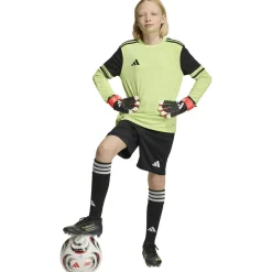 Tierro26 Goalkeeper Shorts Kinder Shorts