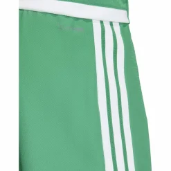 Tiro26 Competition Match DAY Shorts Herren Shorts