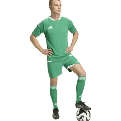 Tiro26 Competition Match DAY Shorts Herren Shorts