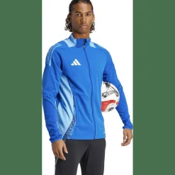 Tiro24 Competition Training Jacket Herren Fußballjacke