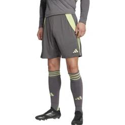 Tiro 24 Herren Shorts