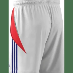 Tiro24 Training Short Herren Shorts
