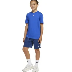 Train Essentials Logo Regular Fit Kinder Shorts