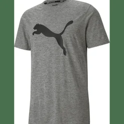 Train FAV Heather CAT SS TEE Herren T-Shirt