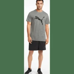 Train FAV Heather CAT SS TEE Herren T-Shirt