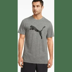 Train FAV Heather CAT SS TEE Herren T-Shirt