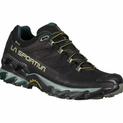 Ultra Raptor II Leather GTX Herren Multifunktionsschuhe
