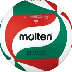 V5M4500-DE Unisex Basketball