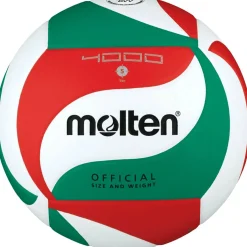V5M4000-DE Unisex Basketball