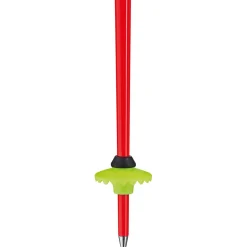 WCR TBS SL 3D Unisex Alpin-Skistöcke