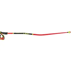 WCR GS 3D Unisex Alpin-Skistöcke