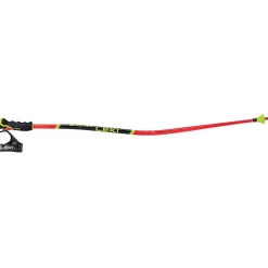 WCR Lite GS 3D Unisex Alpin-Skistöcke