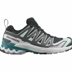 XA Pro 3D V9 GTX Damen Trailrunningschuhe