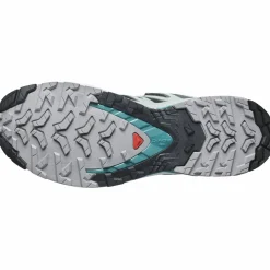 XA Pro 3D V9 GTX Damen Trailrunningschuhe