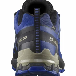 XA Pro 3D V9 GTX Herren Trailrunningschuhe