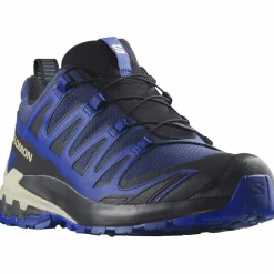 XA Pro 3D V9 GTX Herren Trailrunningschuhe